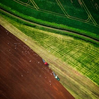Crop Farm in Kamuli Disrict